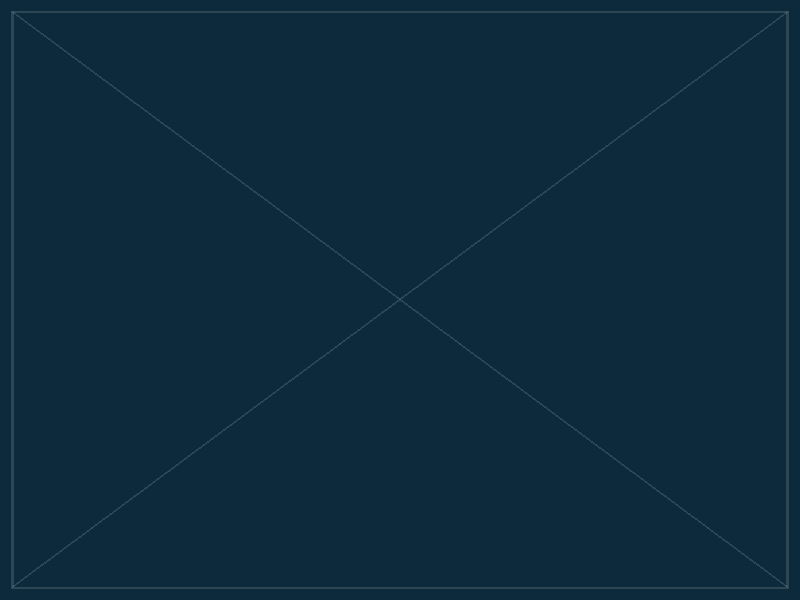 فنادق ومنتجعات
